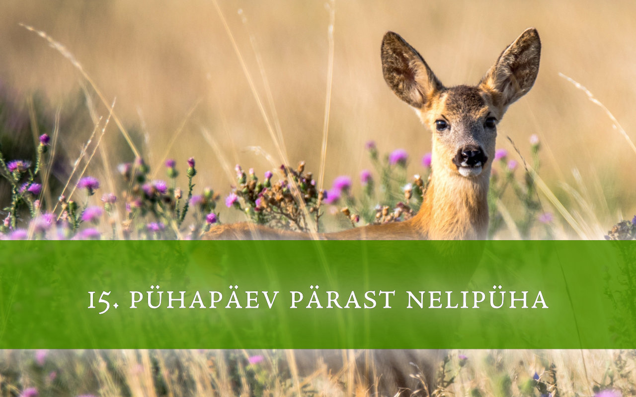 15. pühapäev pärast nelipüha