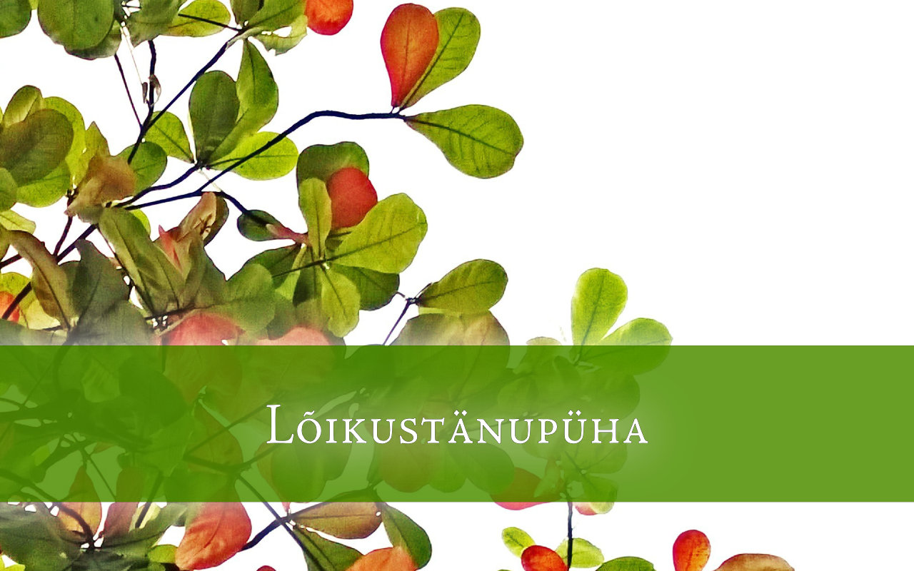 Lõikustänupüha 2026